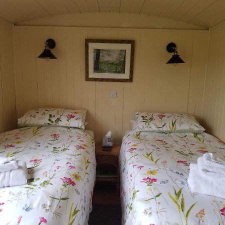 Rhydydefaid Cwt Clyd - Cosy Hut Vila Bala Exterior foto