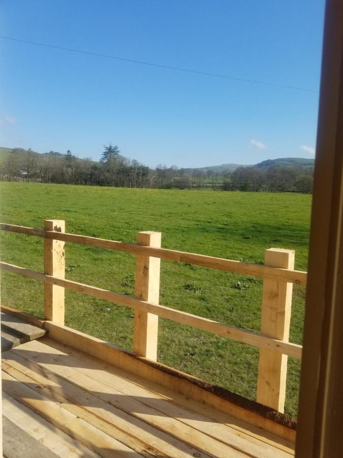 Rhydydefaid Cwt Clyd - Cosy Hut Vila Bala Exterior foto